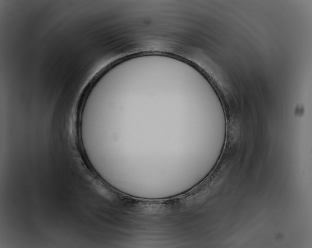 X0000102850886200809021358