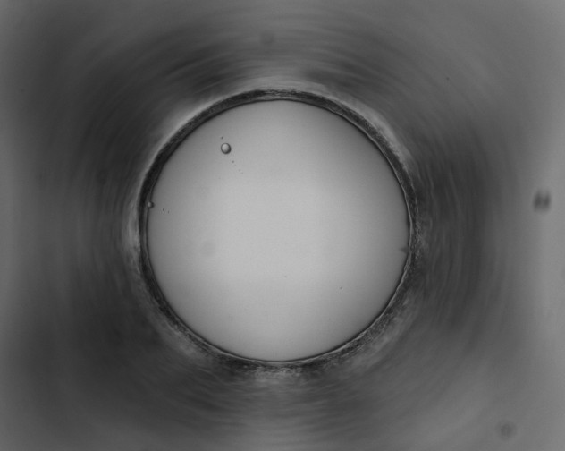 X0000102850887200809021358