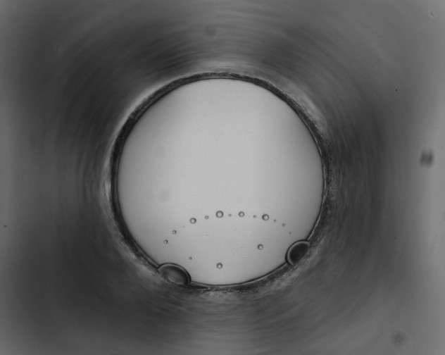 X0000102850888200809021358