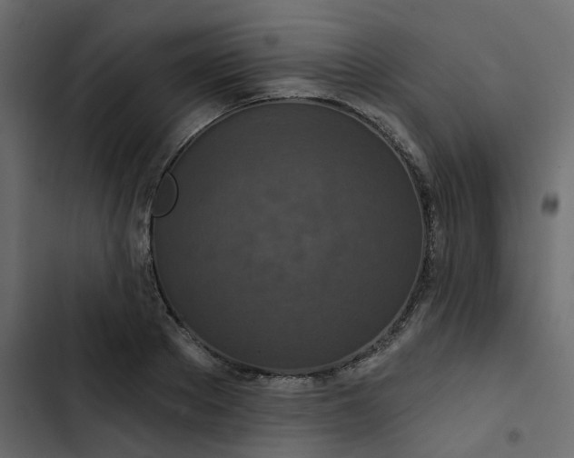 X0000102850889200809021358