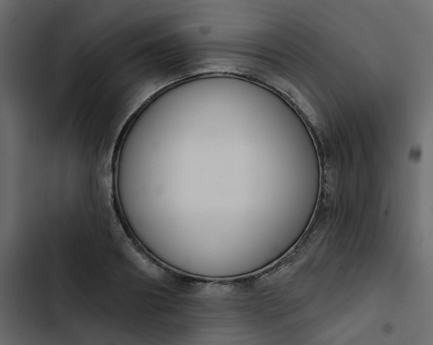 X0000102850890200809021358