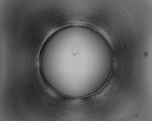 X0000102850891200809021358