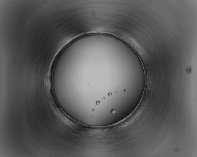 X0000102850892200809021358