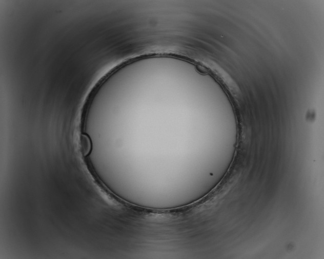 X0000102850894200809021358