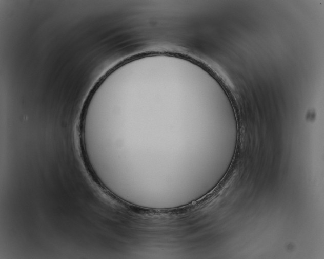 X0000102850895200809021358