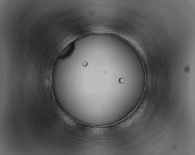 X0000102850897200809021358