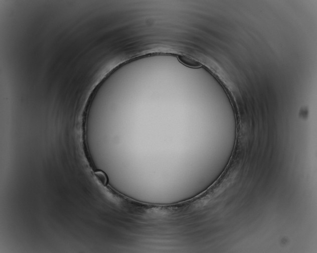 X0000102850898200809021358