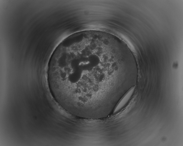 X0000102850899200809021358