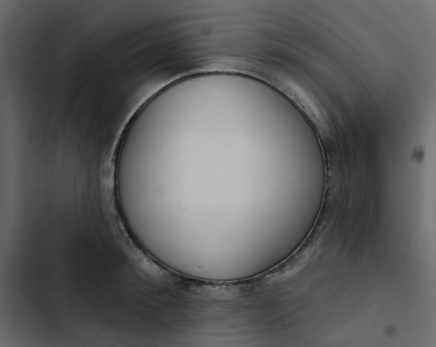 X0000102850900200809021358