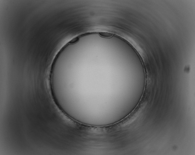 X0000102850901200809021358