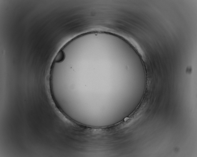 X0000102850903200809021358