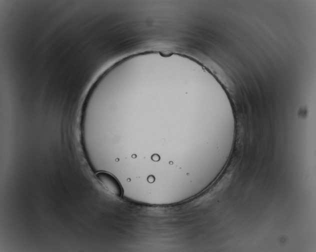 X0000102850904200809021358