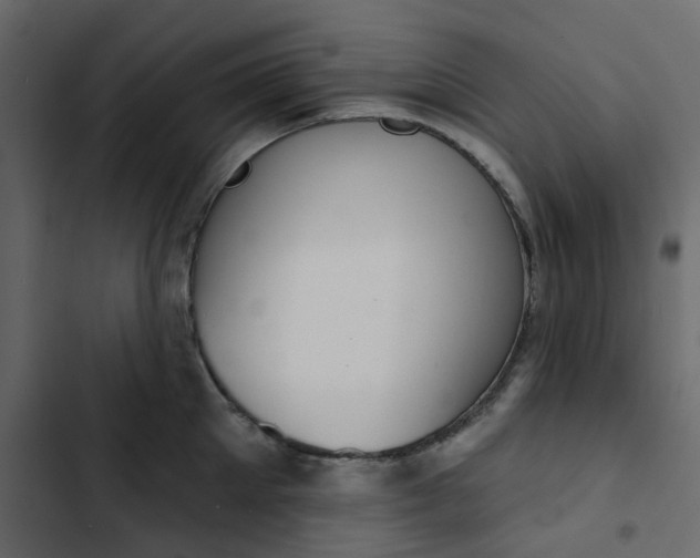 X0000102850905200809021358