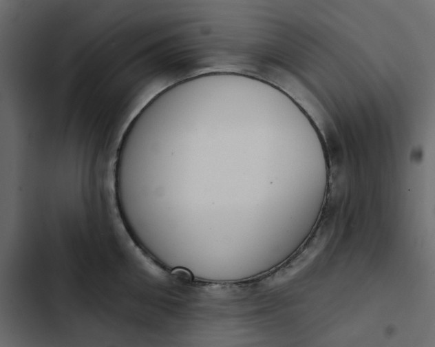 X0000102850906200809021358