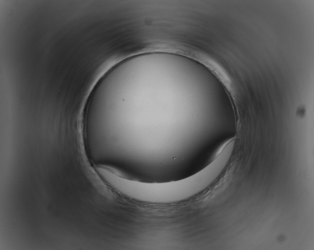 X0000102850907200809021357