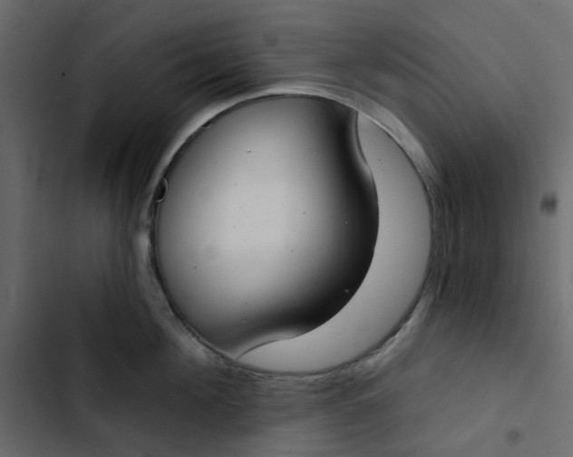 X0000102850908200809021357