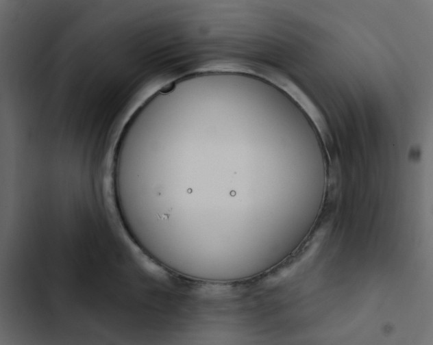 X0000102850909200809021357