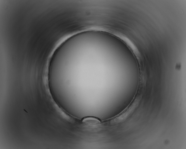 X0000102850910200809021357