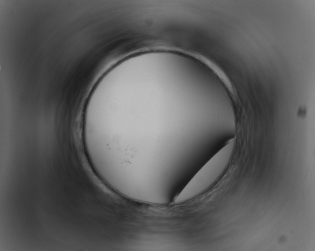 X0000102850911200809021357