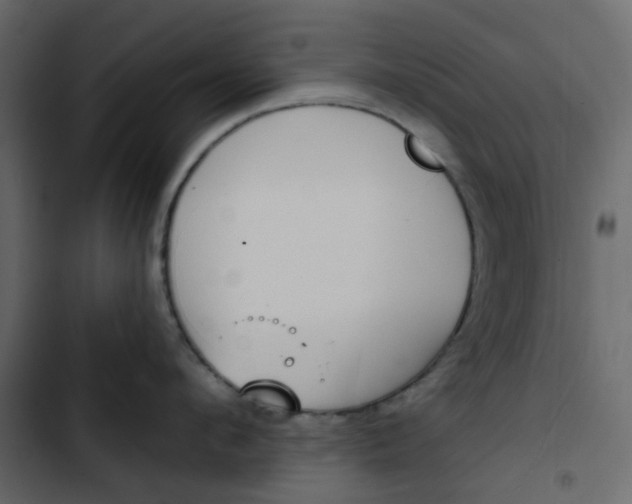 X0000102850912200809021357