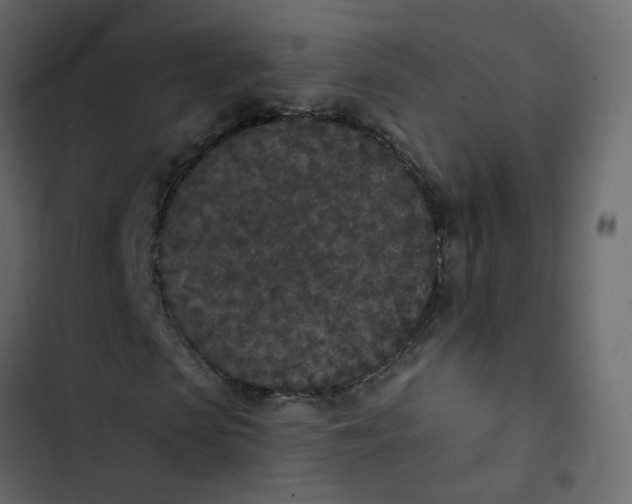 X0000102850913200809021357