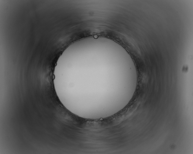 X0000102850914200809021357