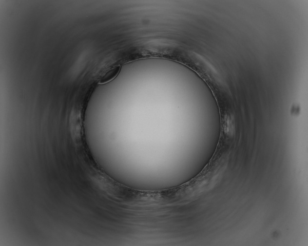 X0000102850915200809021357