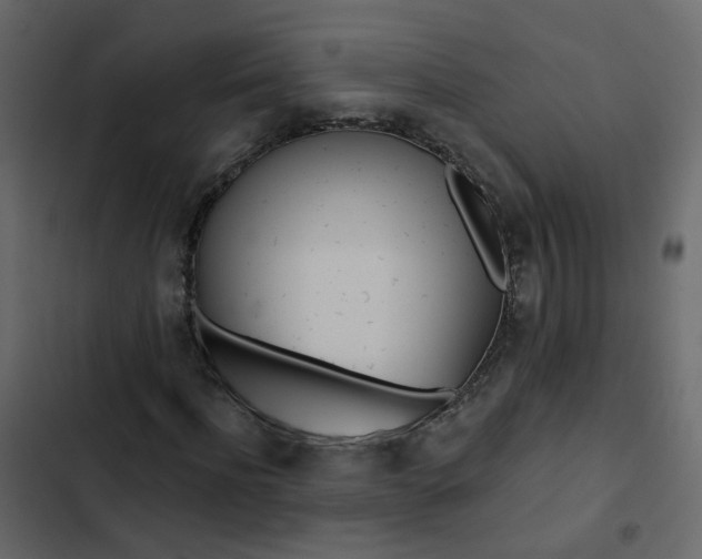 X0000102850916200809021357