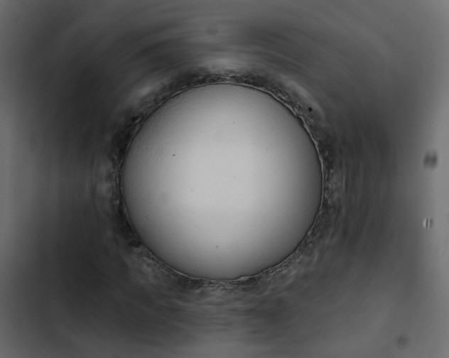 X0000102850917200809021357