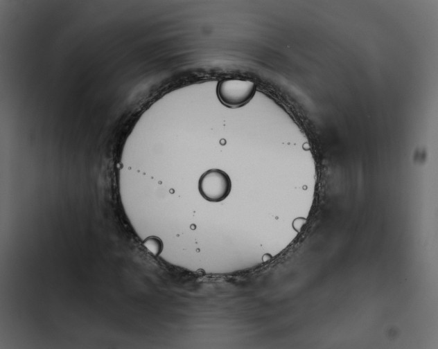 X0000102850918200809021357