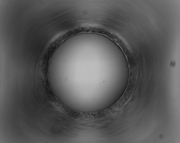 X0000102850919200809021357