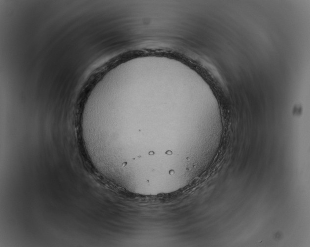 X0000102850920200809021357