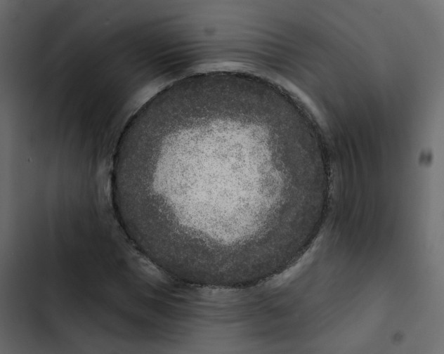 X0000102850921200809021357