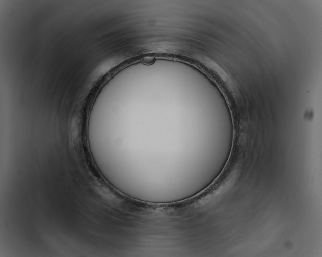 X0000102850922200809021357