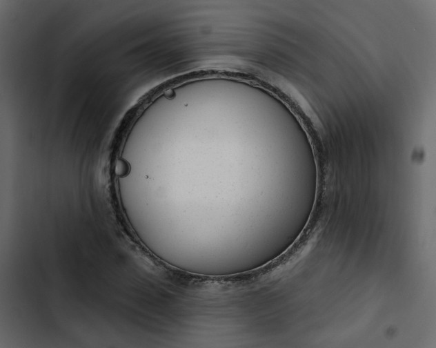 X0000102850923200809021357