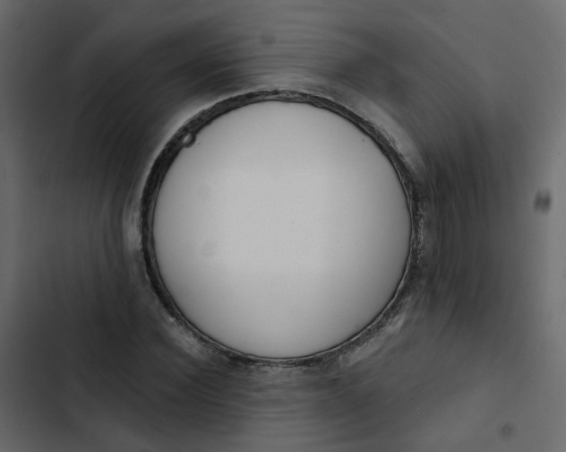 X0000102850924200809021357