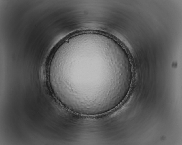 X0000102850925200809021357