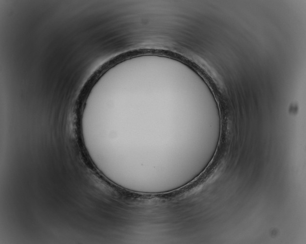 X0000102850926200809021357