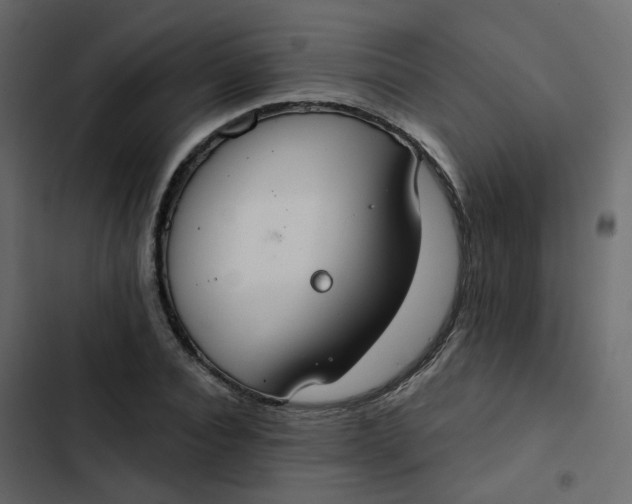 X0000102850928200809021357