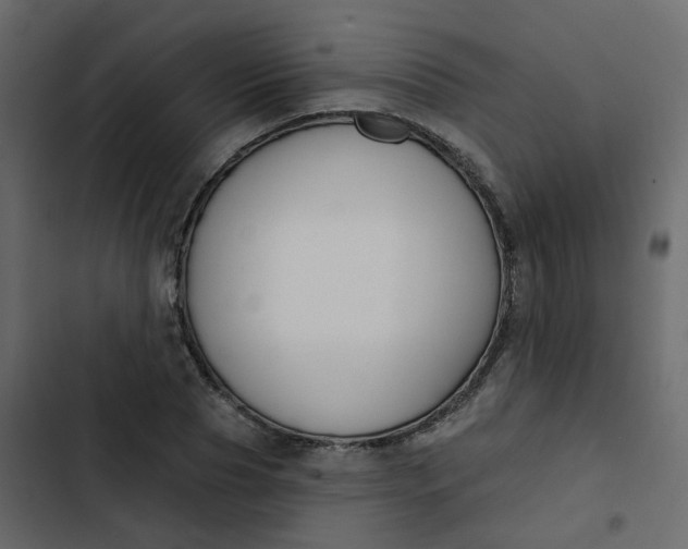 X0000102850929200809021357