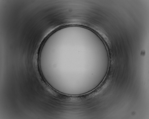 X0000102850933200809021357