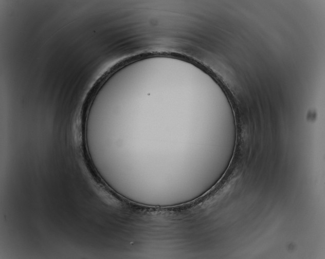 X0000102850934200809021357