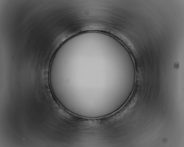 X0000102850937200809021357