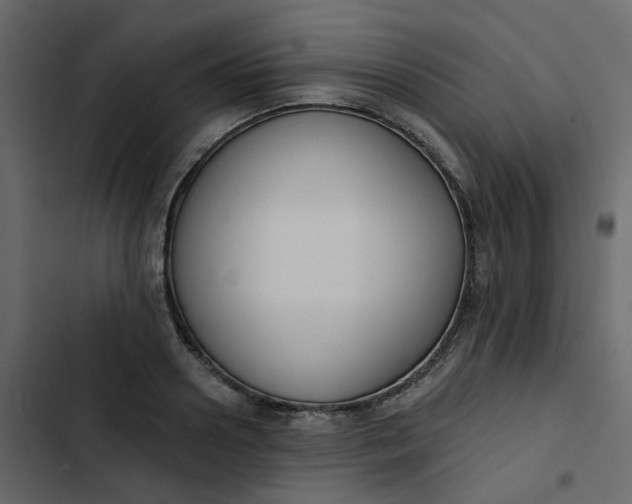 X0000102850938200809021357