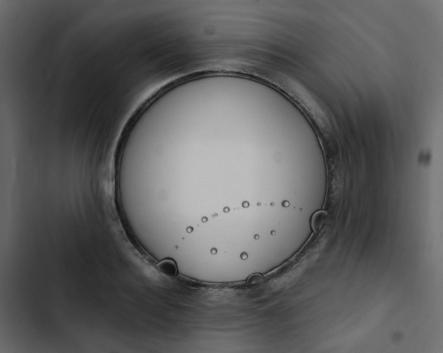 X0000102850940200809021357