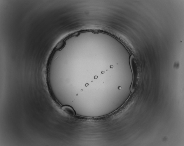 X0000102850942200809021357