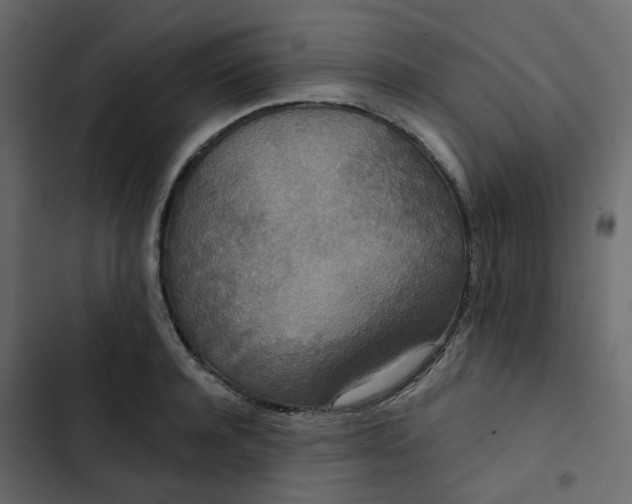 X0000102850944200809021357