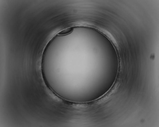 X0000102850946200809021357