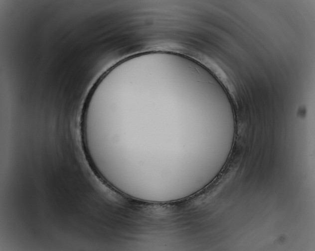 X0000102850947200809021357