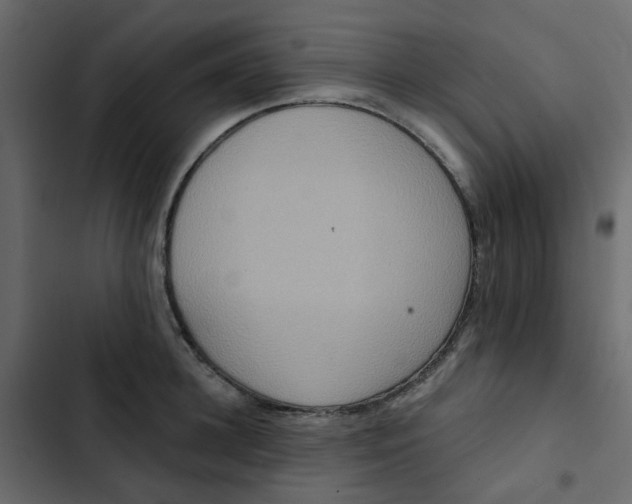 X0000102850948200809021357